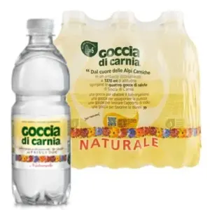Goccia di Carnia természetes ásványvíz 500 ml